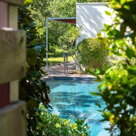 Villa Face Au Mont Bouquet Servas (Gard)